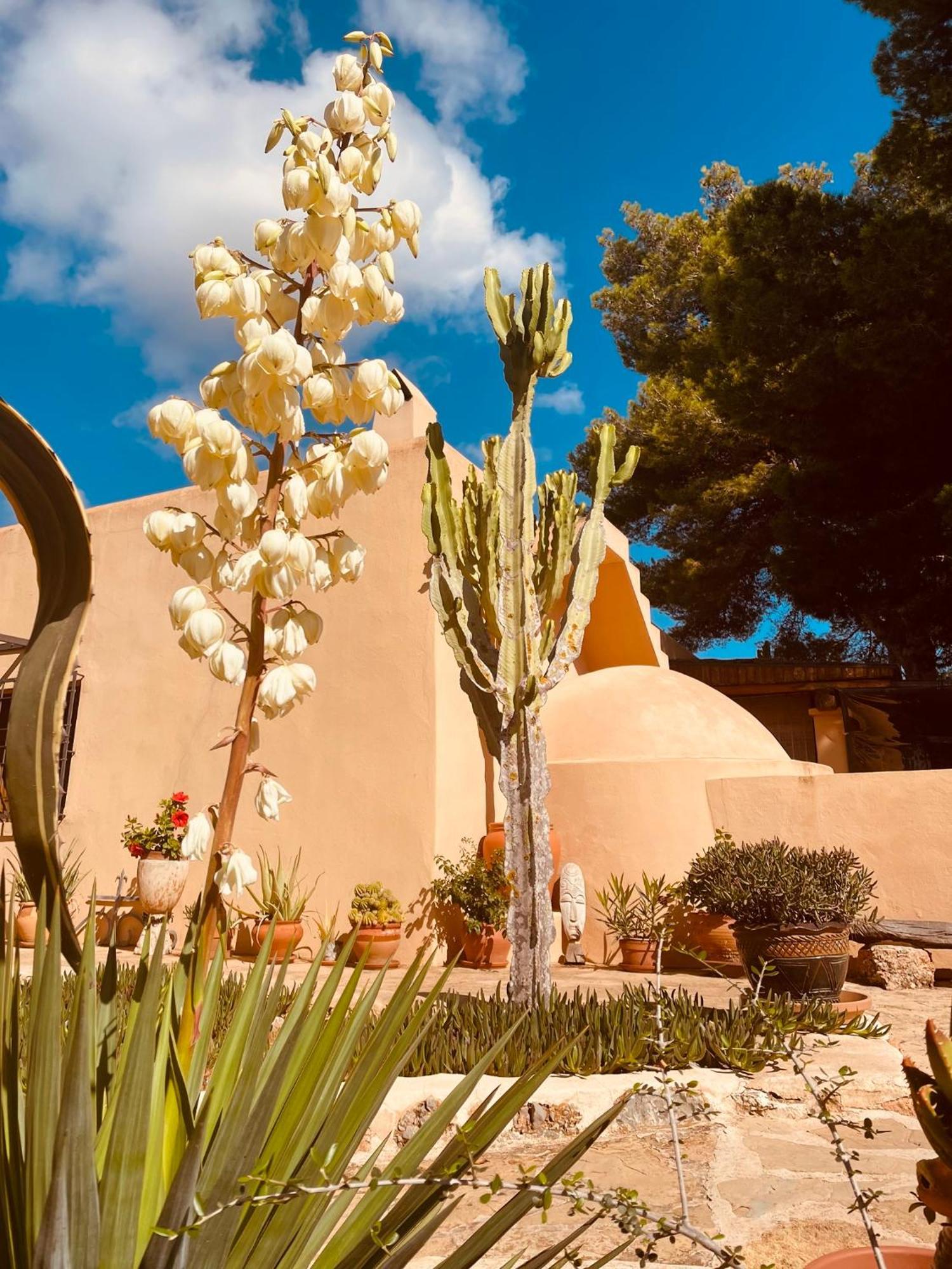 Finca Can Toni Sant Jordi de ses Salines Eksteriør billede